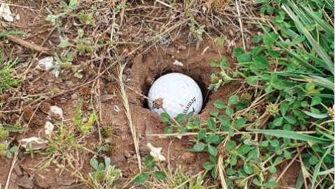 Are you entitled to relief if your ball is in a hole NOT CREATED by animals?